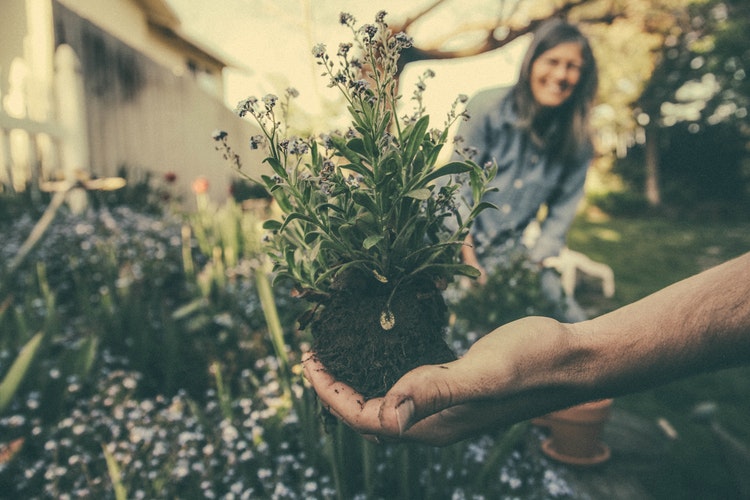 growing-your-brand