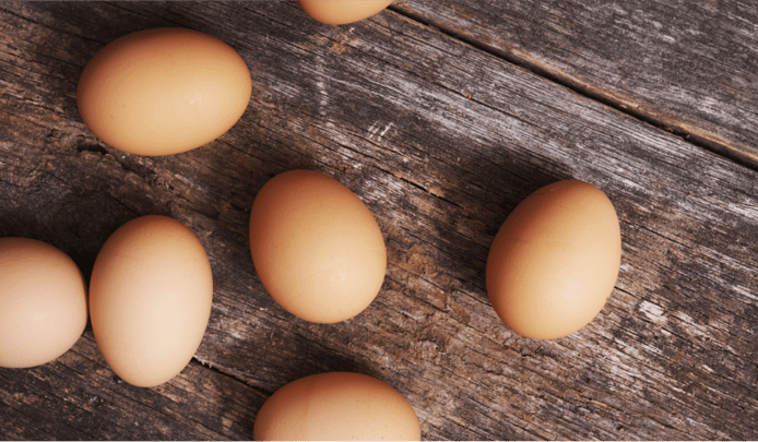 happy-chicken-eggs03