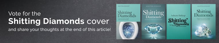 Vote for Shitting Diamonds Book Cover