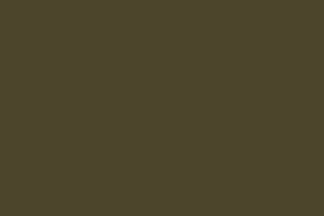 pantone-448-c.png