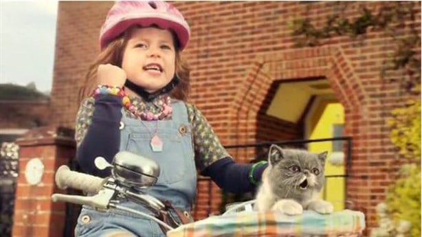 Singing Kitten On A Bike